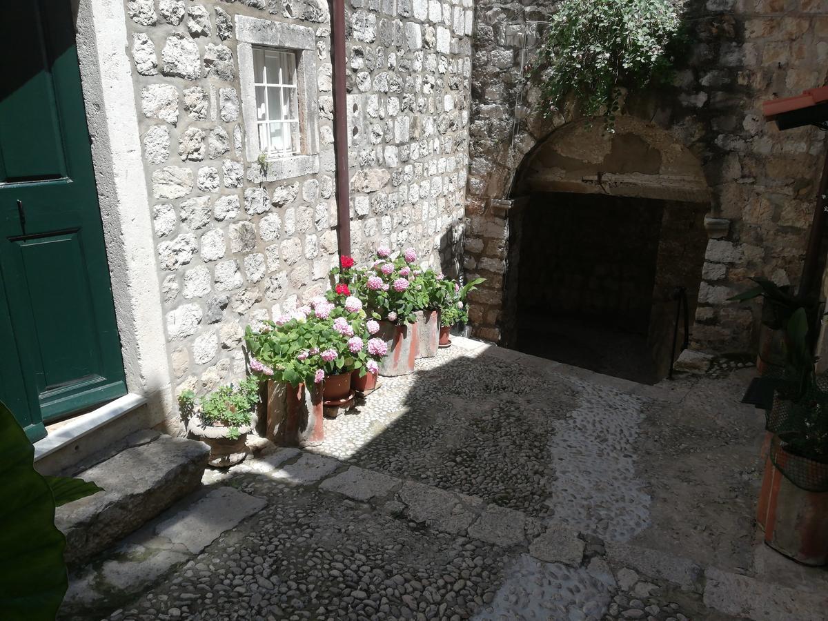 Center Leilighet
